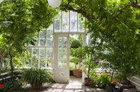 free Starveall orangery quotes